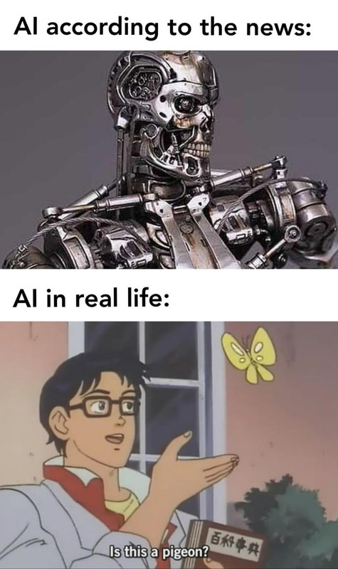 451a433d7d6a54c7b91377135b7d065b.jpg