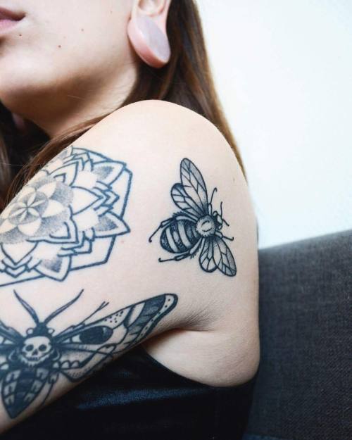 tumblr_oizrj5Moqk1qg0mcio1_500