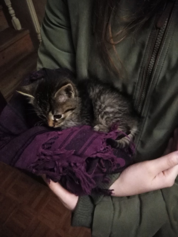 изображение_viber_2019-11-13_21-44-03