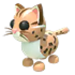 Leopard Cat