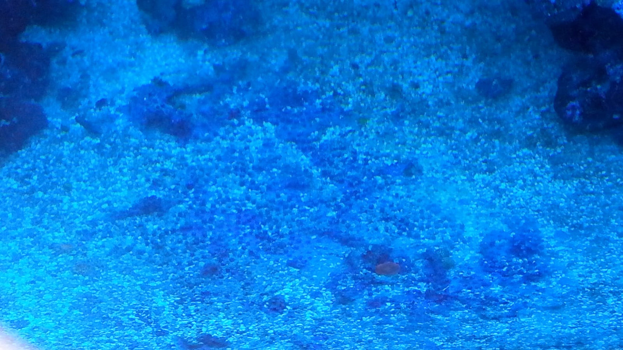 D6530B2A-2C52-4843-9EFD-56350D2FE041