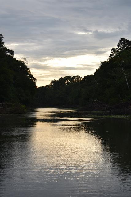 3 SEMANAS EN PERÚ del Amazonas a Machu Picchu 2019 - Blogs de Peru - Día 3. Iquitos Sunrise pirañas, centro de rescate y Lima (1)