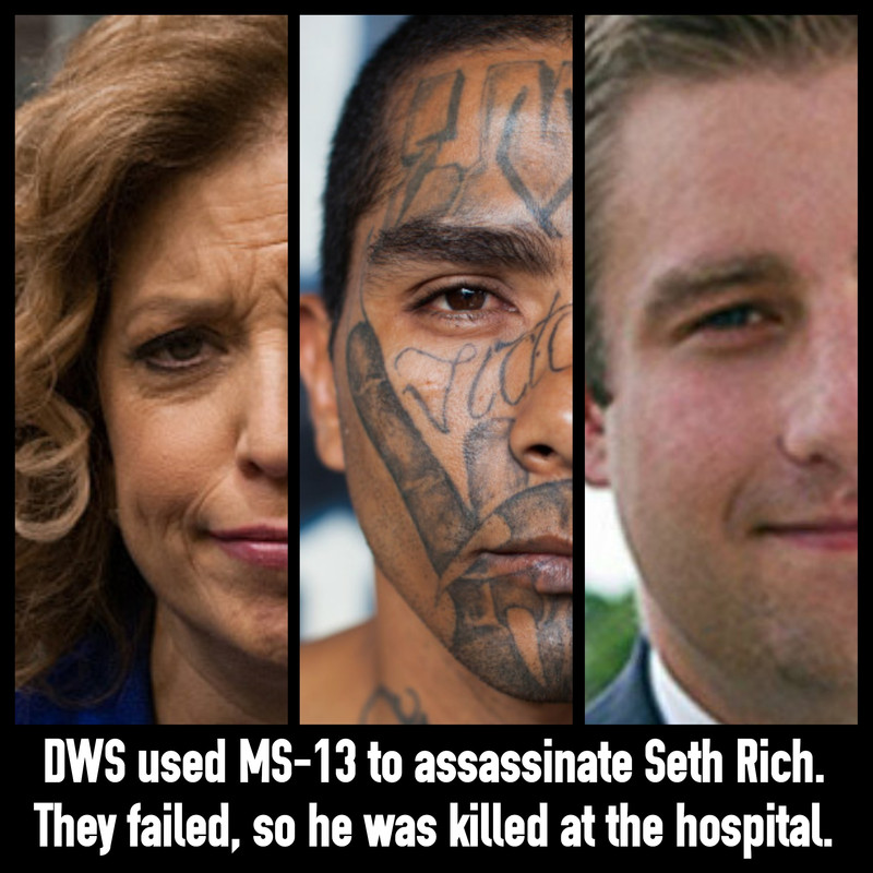 DebbieMS13SethRichKill