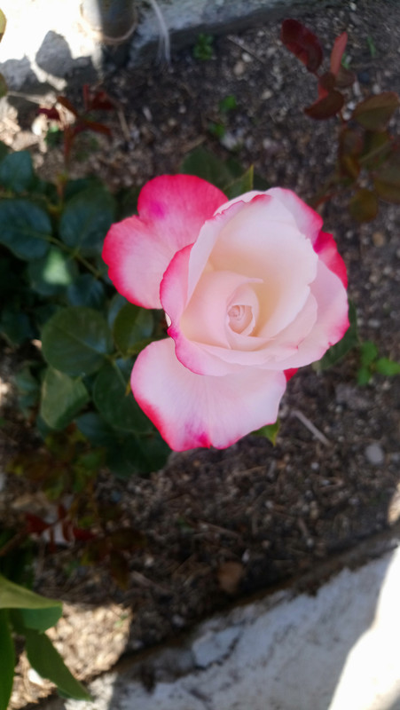 DSC_0611
