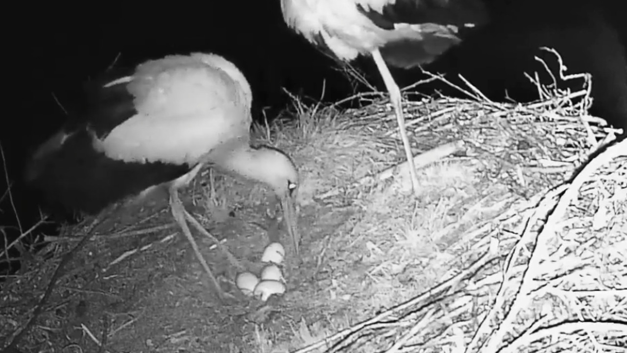 Screenshot_20240413-140315