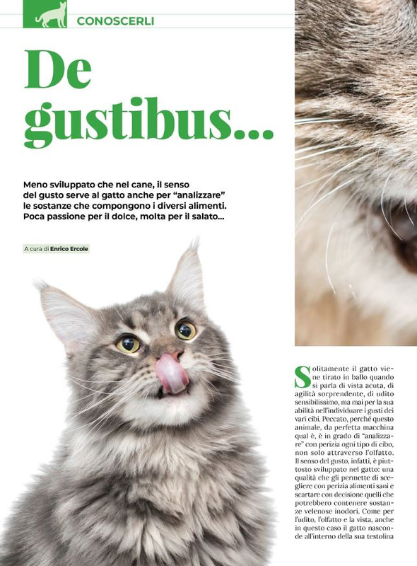 Ga Ma Giu-Lug 2023 (11)