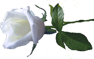 617589-Kku2-FM6-M.gif