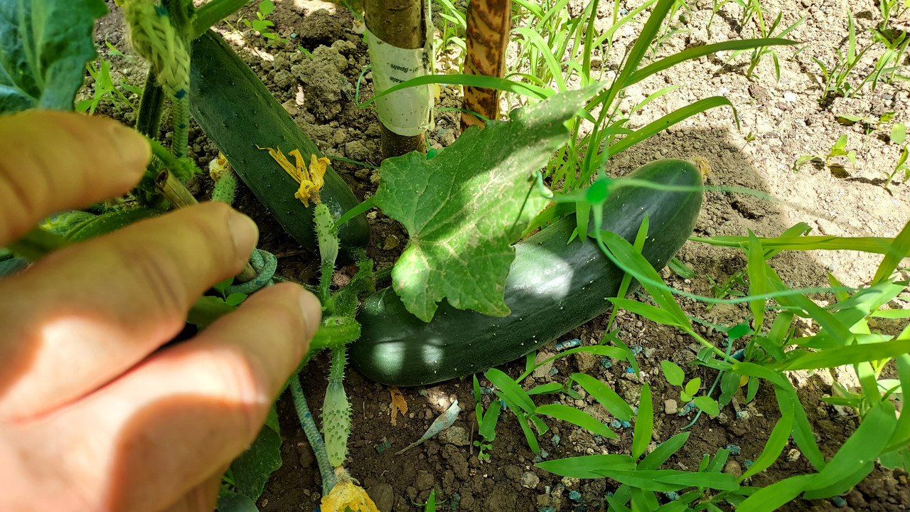 601B8E4A-3162-480F-829D-C89D7DDB3825