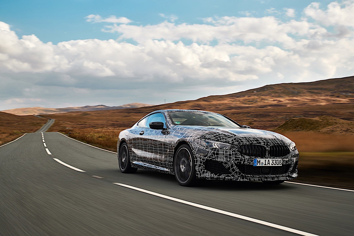 BMW 8 Series Coupe (5)