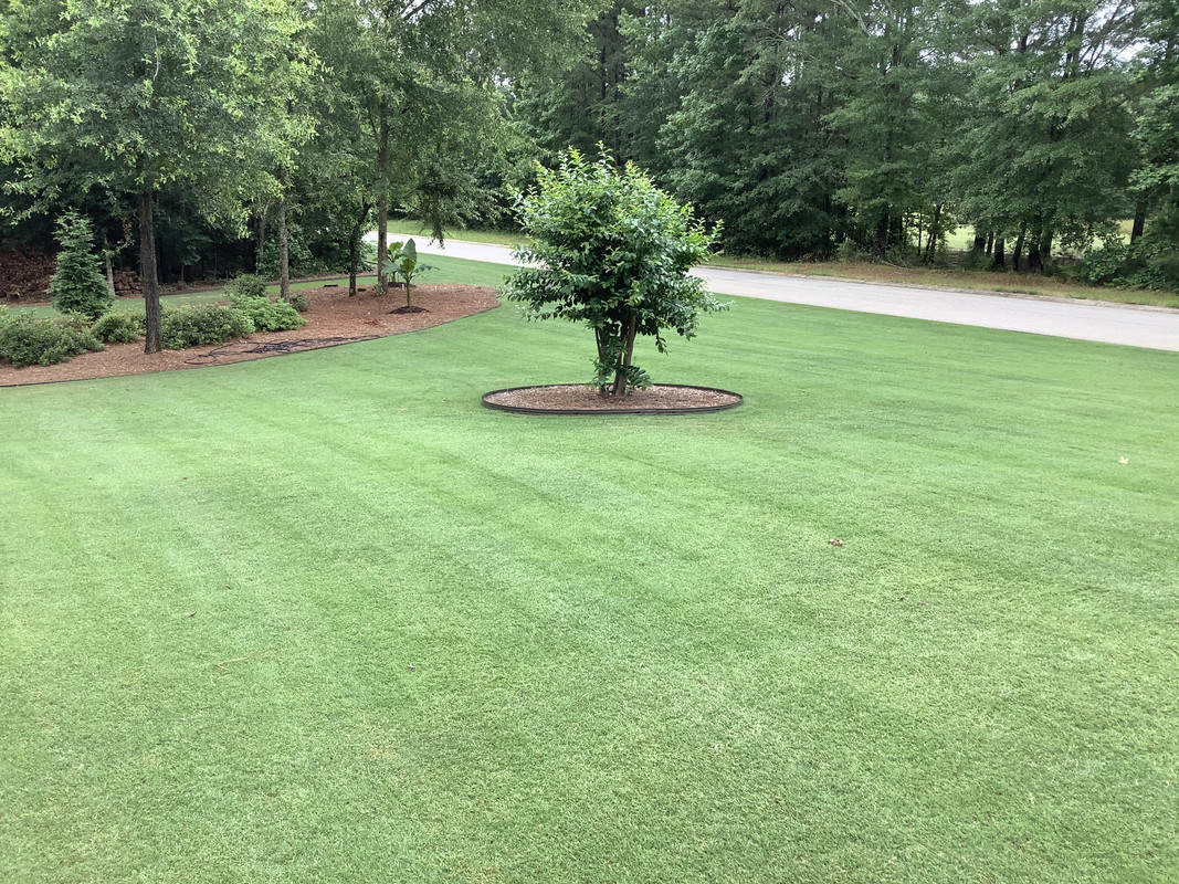 E25CF580-961F-4604-B696-00EE3E5CD107