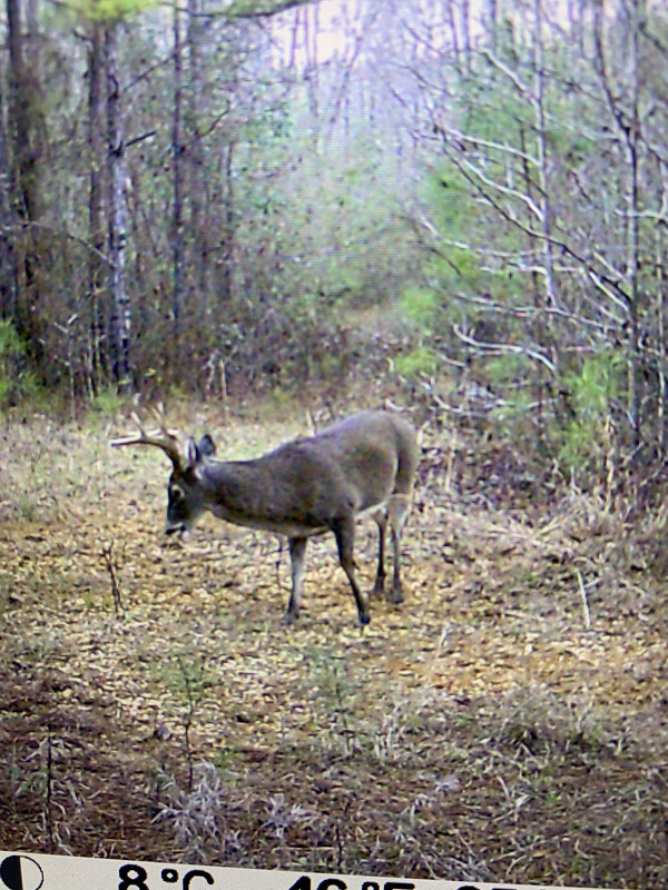 84CB3D21-AA65-4997-ABA8-46FB076D67EF