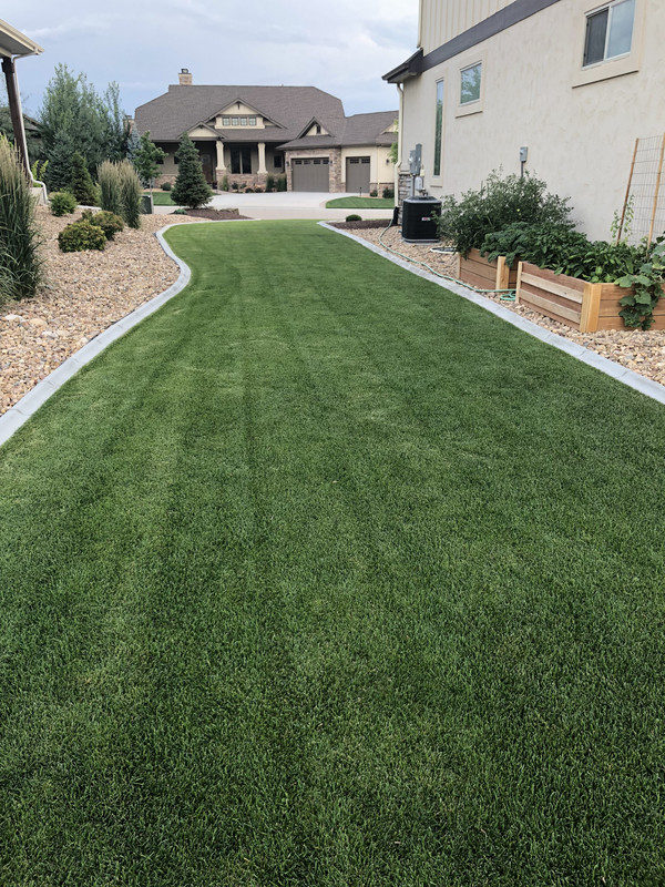 D2CC6D71-99E4-4C0F-A794-B50E4D1EC012