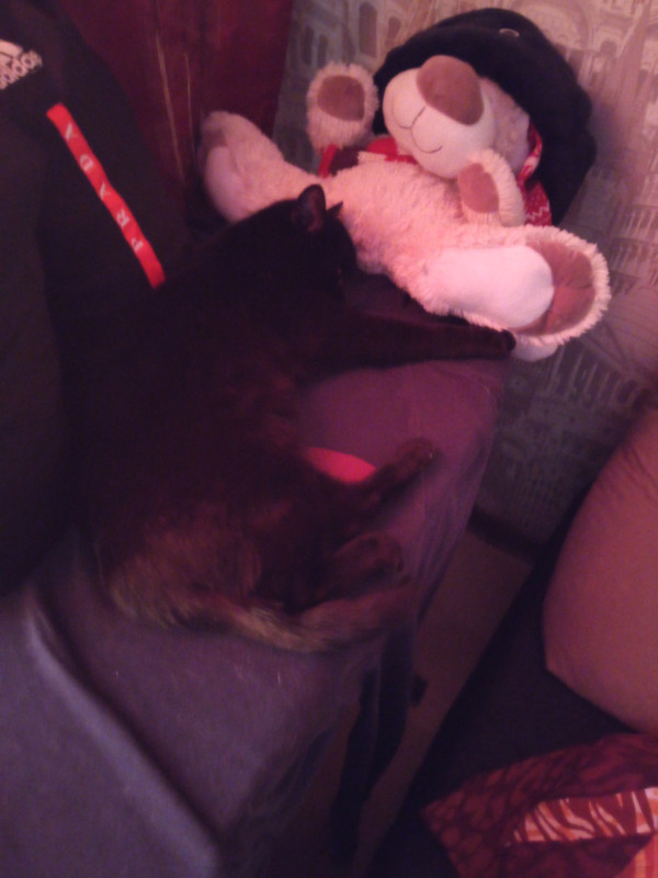 16723877374927865725535410616314