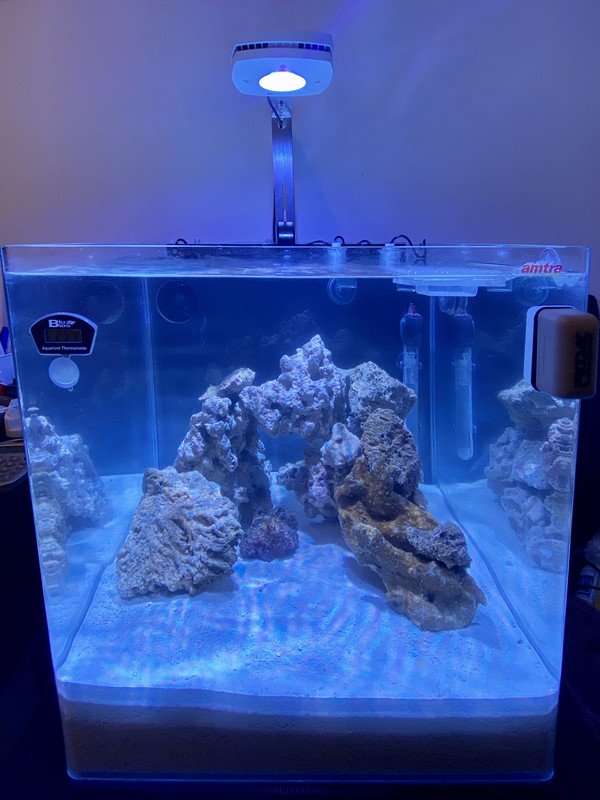 8F9851D5-3E48-4002-B0FE-C88F7462E1A3