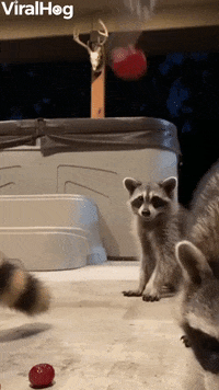 200w-6.gif