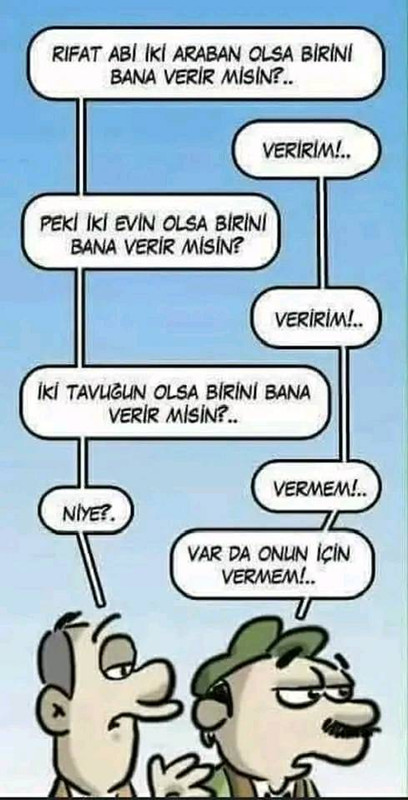 iki tavuk