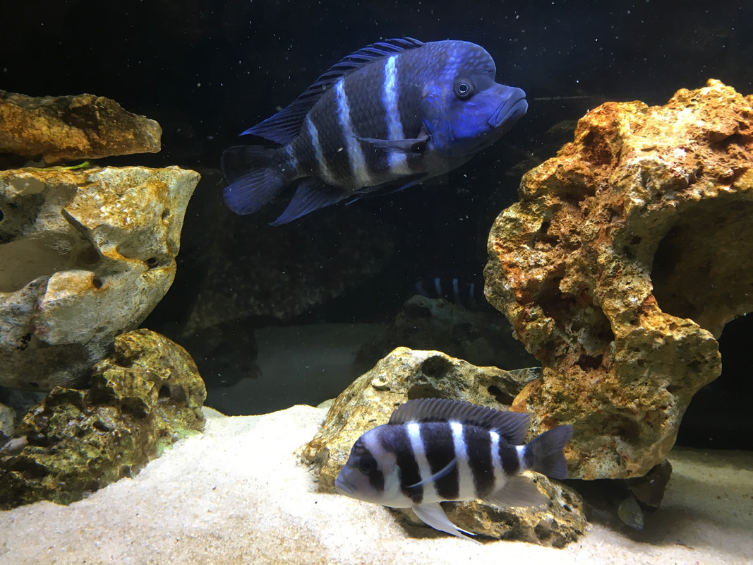 2B101017-31B9-452F-BBFA-F5247BC0B09C