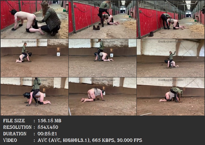 https://i.postimg.cc/SxHZ65PP/2898-Ponyboy-Outdoors-Training-mp4.jpg