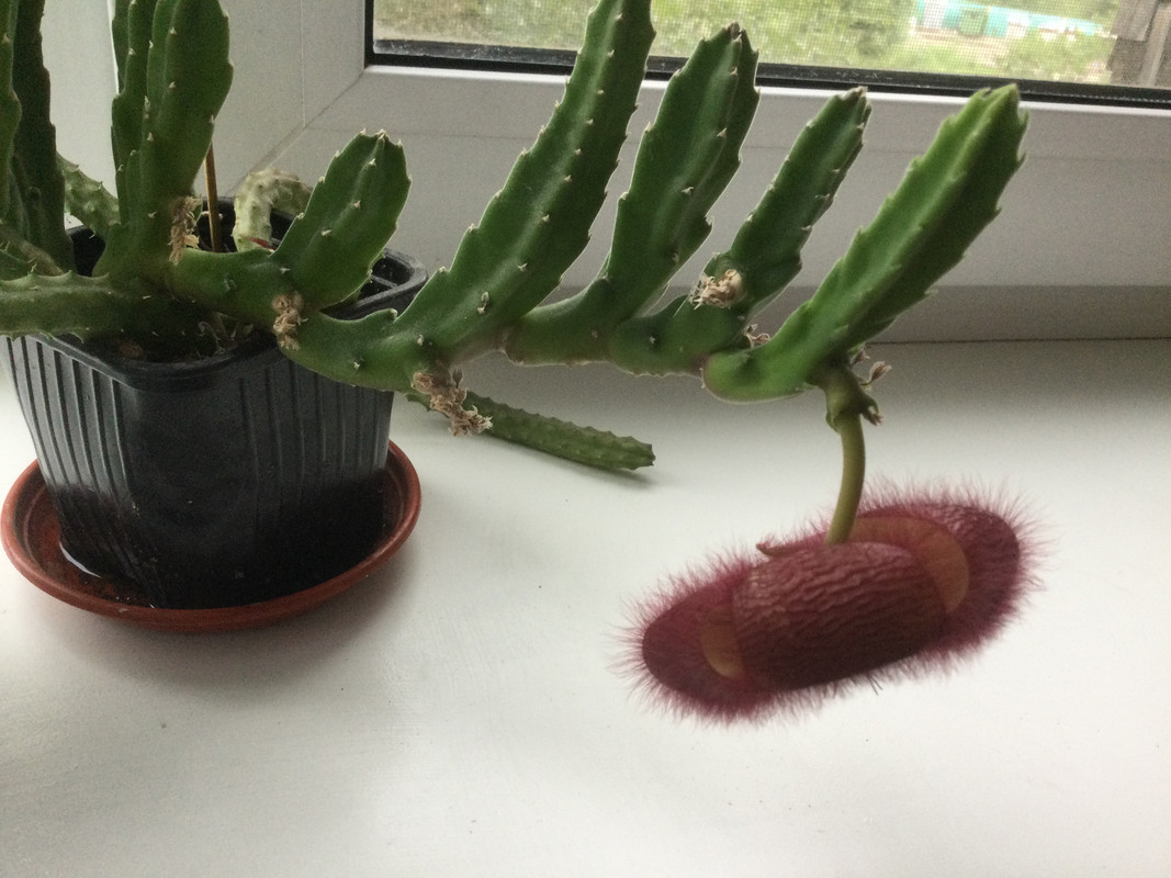 35C1DB0F-9C00-4868-B9E8-00D227D0D680