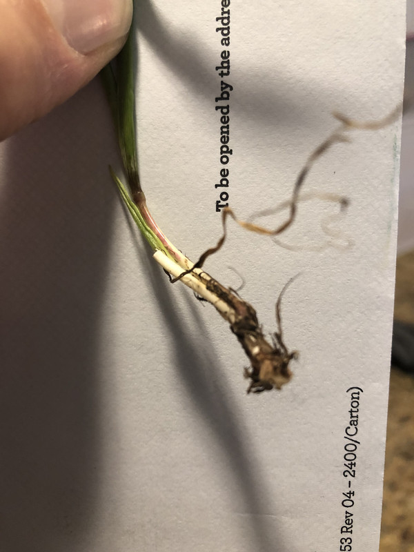 FB4439D9-16EE-4C1F-B99B-D79C525D9C92