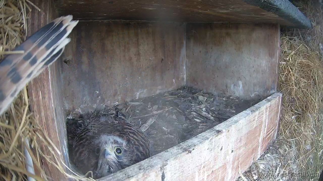 snapshot - 2025-07-04T163212.363