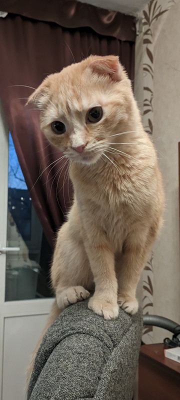 Screenshot_2023-04-08-20-16-48-386_com.google.android.apps.photos