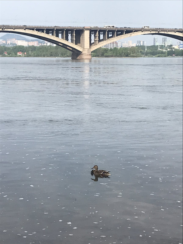 IMG-45a9037546589f713d98a49d6e6ad0a8-V