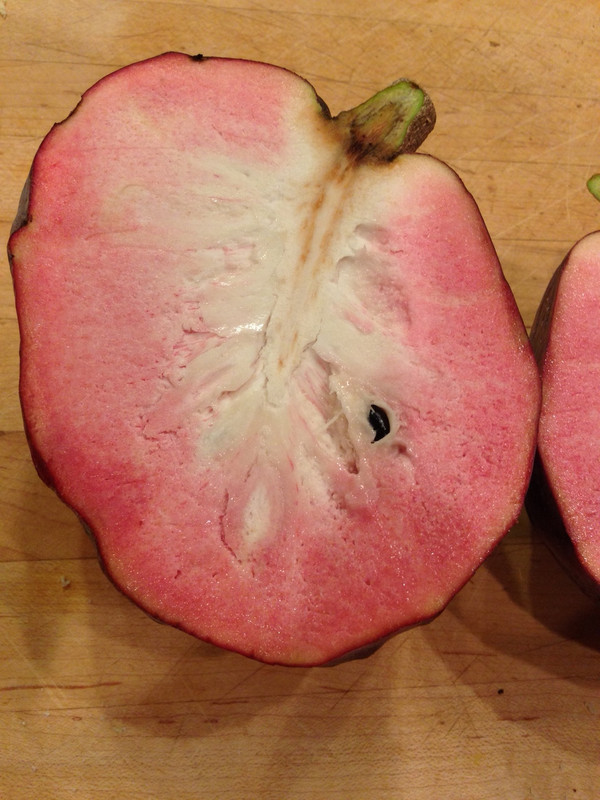 0119007c49859a916a00ccf0fe5099213c16bb38eb