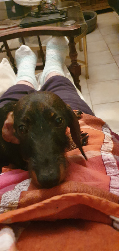 [Image: 20221206-212019.jpg]