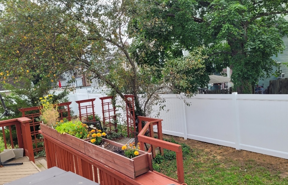 Back Fence 20220701