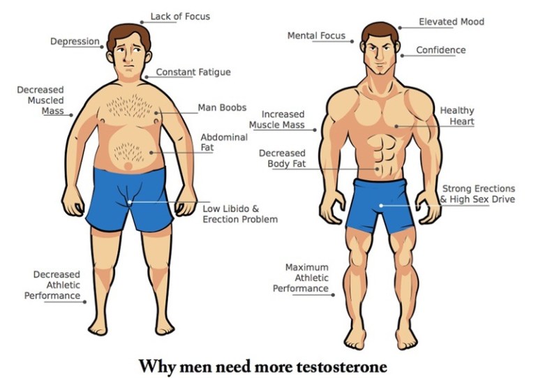 Increase-Your-Testosterone-Naturally