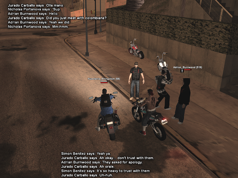 SS1.png