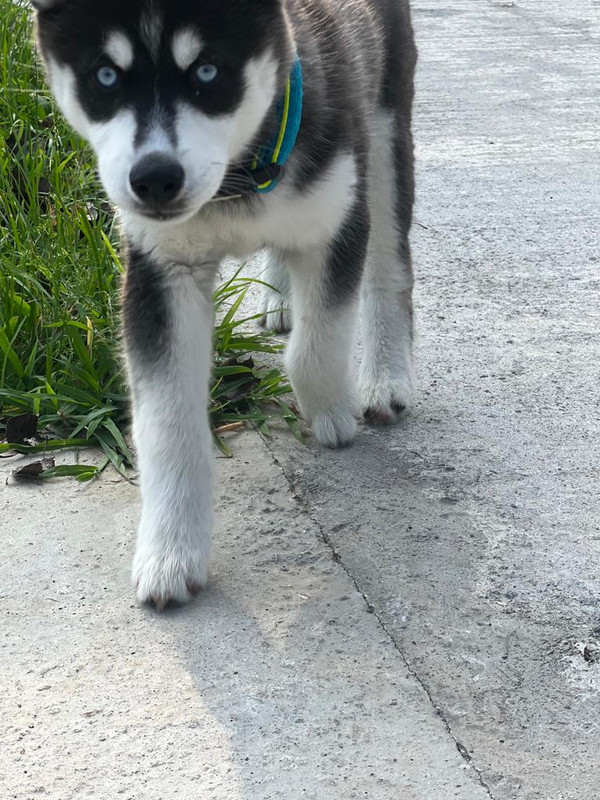 F7AF8CE8-1ECD-479A-8698-76F91F6FD9E0