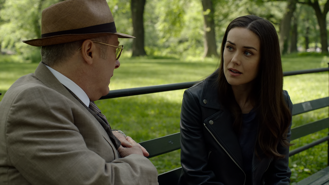 The.Blacklist.S08E22.Konets.1080p.10bit.BluRay.AAC5.1.HEVC-Vyndros.mkv_snapshot_18.18_[2021.10.18_00