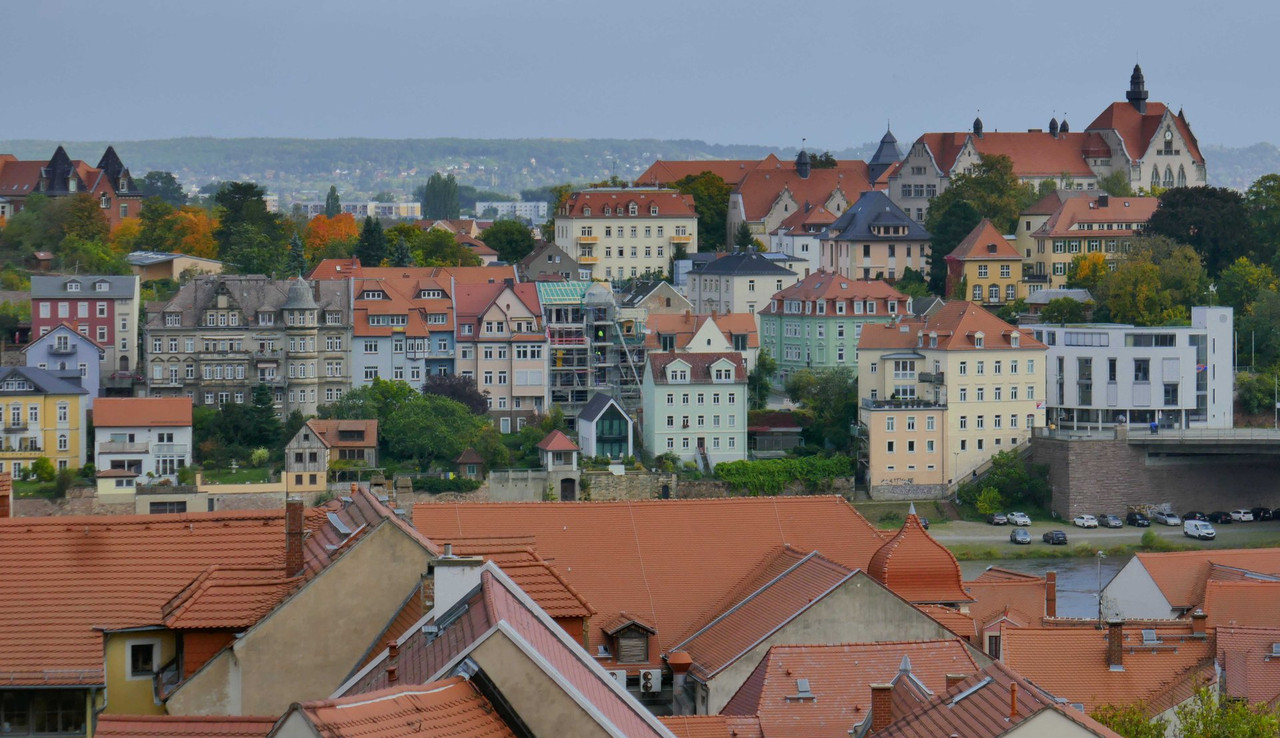 P1310371.jpg