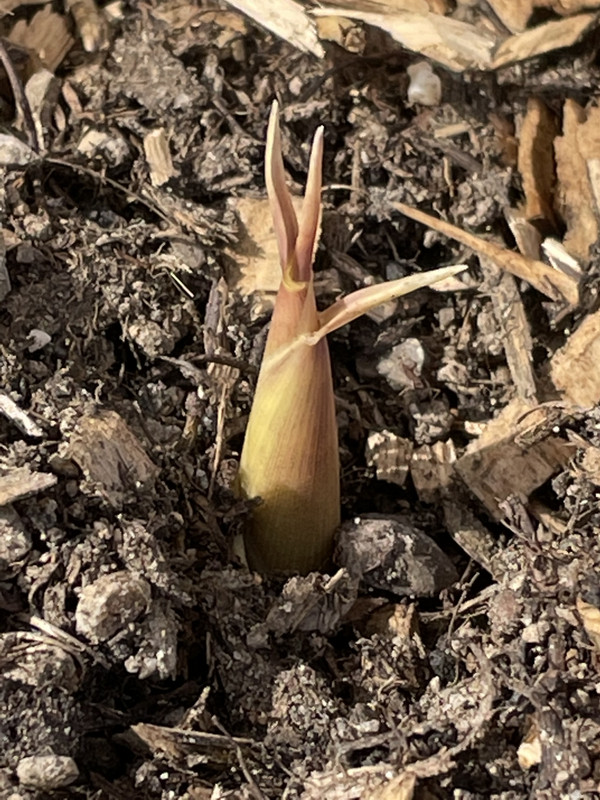 CF173BCF-1B01-47B7-82D1-734C91FF5D0B