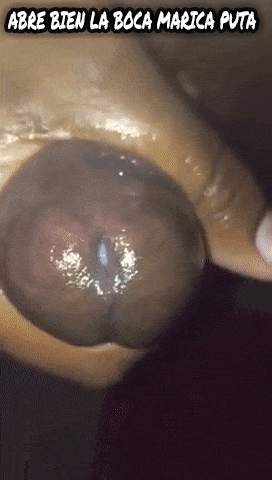 tumblr-poiipocp-KR1vtd3gp-400.gif