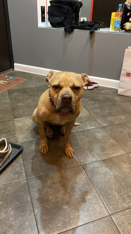 52E10DA4-C0F1-48B4-B4C6-A07A594A83EF