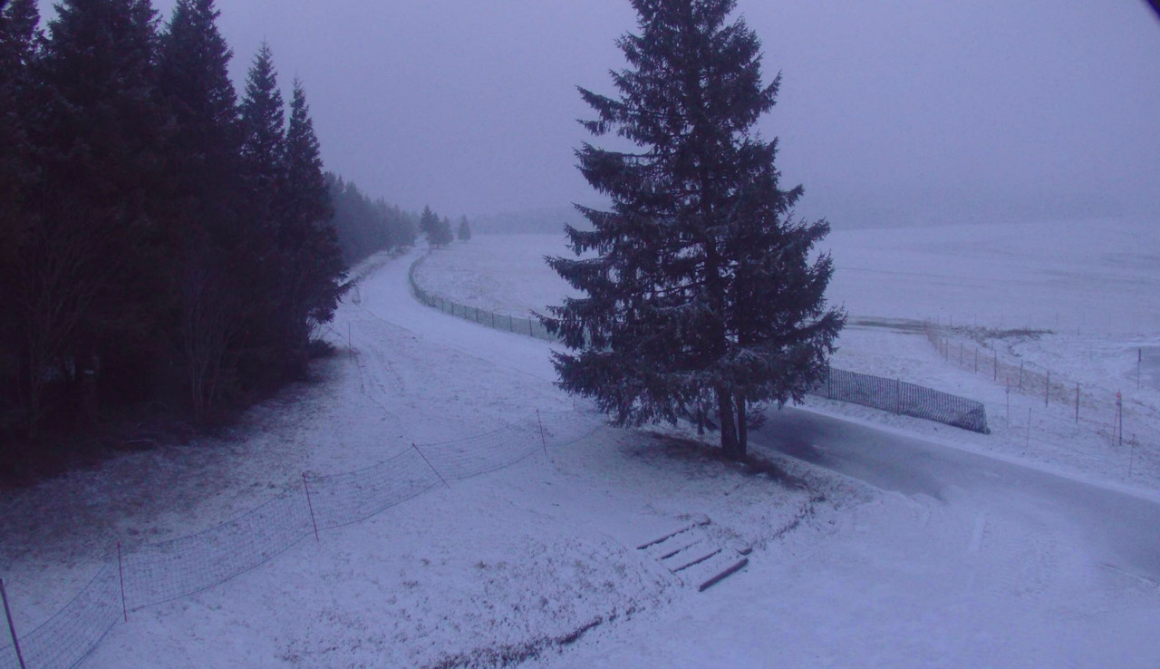 les-estables-ski-nordique-2025-01-28-08-