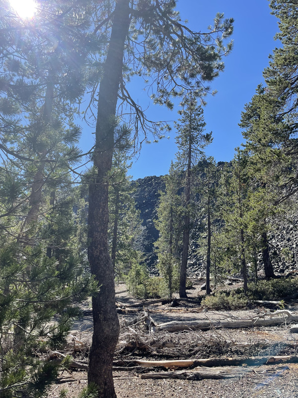 82EED4AA-E122-4DA2-81FF-3C9A43A9013A