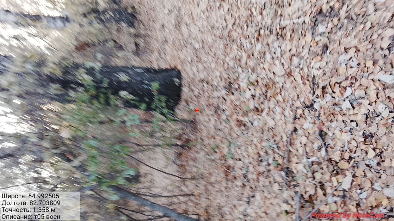 photo_9_2025-10-21_14-49-51