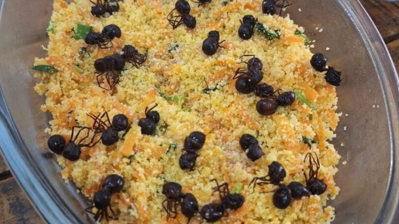 Farofa de Formiga: Salah Satu Kuliner Ekstrim dari Brasil
