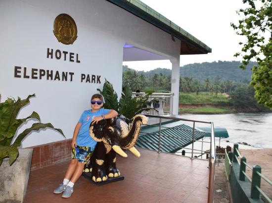 1Bhotel-elephant-park