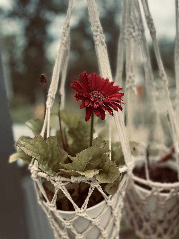 -- Avi's Photography
