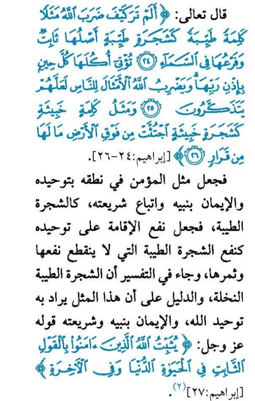 Screenshot_20250218-151737_Drive