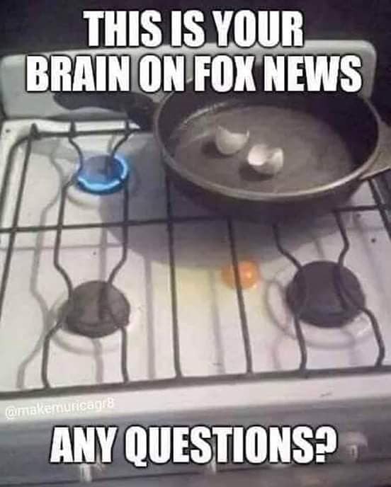 Brain-on-Fox-News.jpg