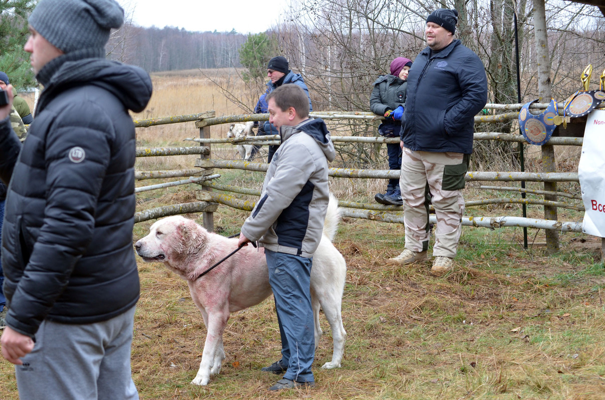 Самурыч-Уран 2  (1)