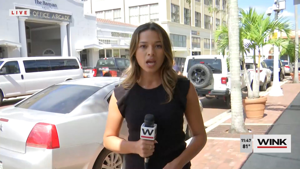 10.09 - 16.30.00 - WINK NEWS at 11 30am  ᴺᵉʷ. Midday news..ts_snapshot_23.35.274
