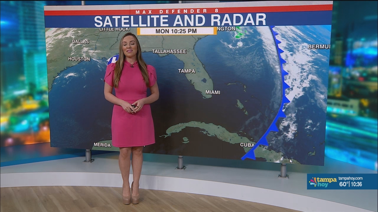 Noticias Tampa Hoy_20250318_02300300.ts_snapshot_07.48.154