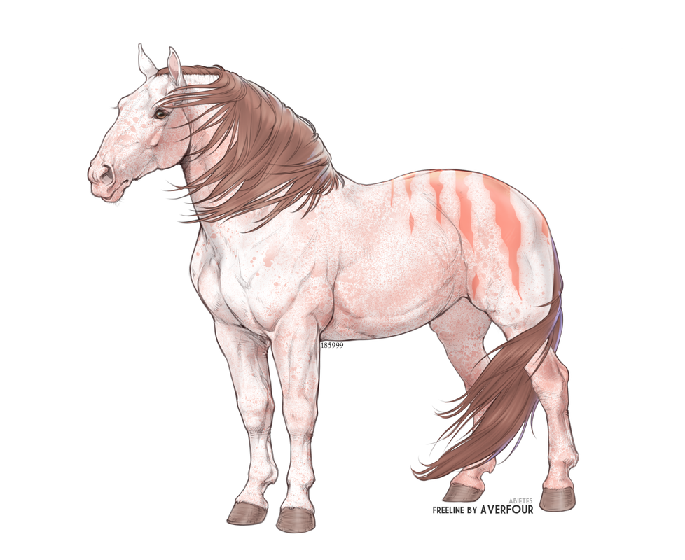 ponies4.png